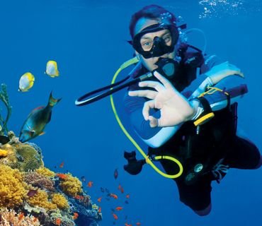 Dive Center